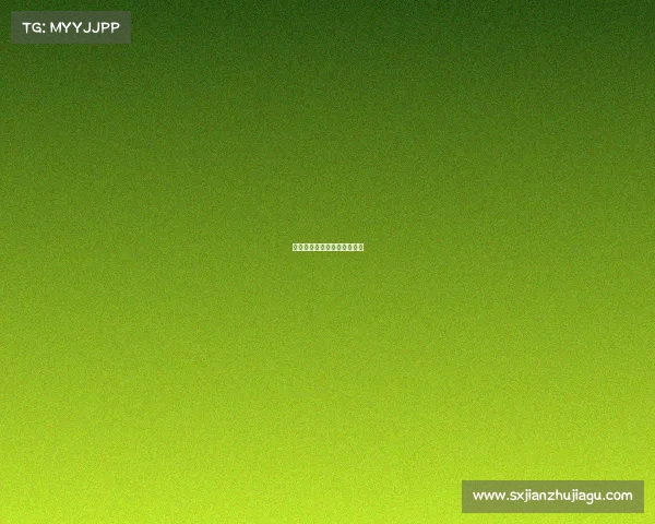 山东外国语职业技术大学电竞